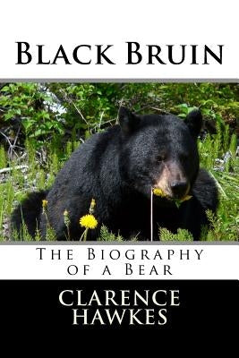 Black Bruin by Hawkes, Clarence