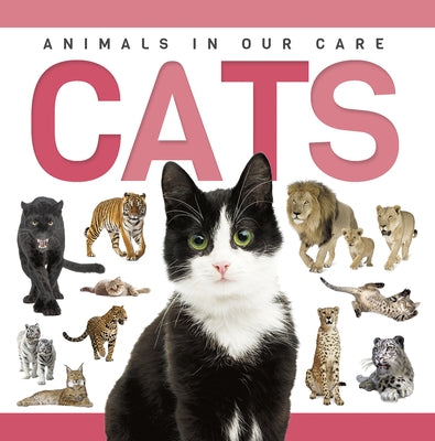 Cats by Phillips-Bartlett, Rebecca