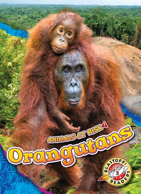 Orangutans by Grack, Rachel