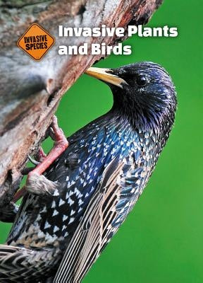 Invasive Plants and Birds by Gaines, Alison