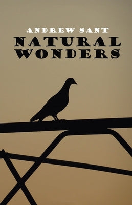Natural Wonders by Sant, Andrew