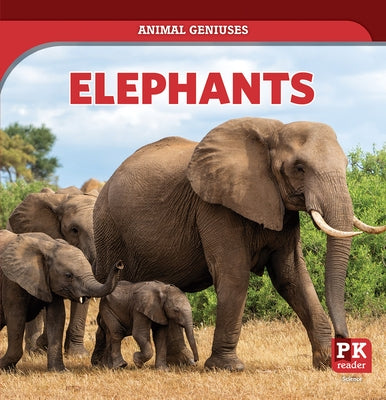 Elephants by Emminizer, Theresa