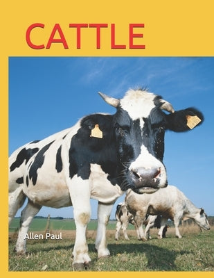 Cattle by Paul, Allen