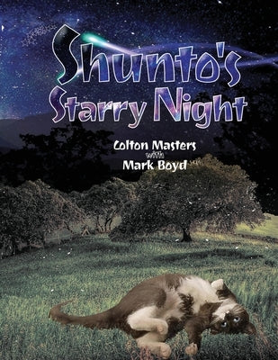 Shunto's Starry Night by Masters, Colton