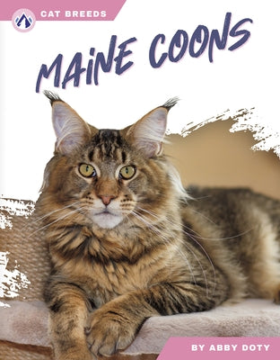 Maine Coons by Doty, Abby