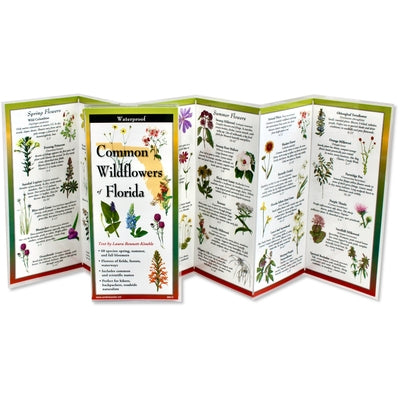 Common Wildflowers of Florida by Bennet-Kimble, Laura
