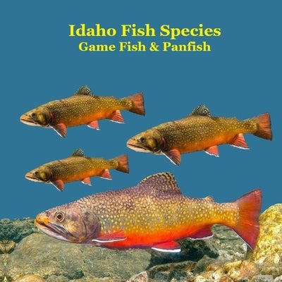 Idaho Panfish and Game Fish Species Kids Book: Great Book About the Different Types of Fish in Idaho by Marie, Kinsey