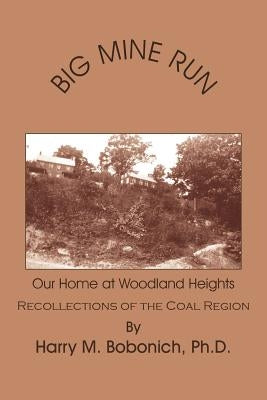Big Mine Run by Bobonich, Harry M.