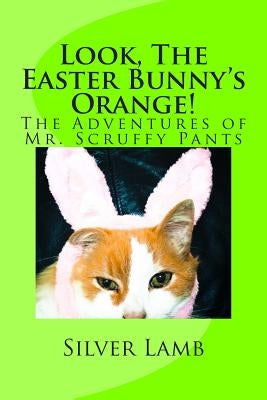 Look, The Easter Bunny's Orange: The Adventures of Mr. Scruffy Pants by Lamb, Silver
