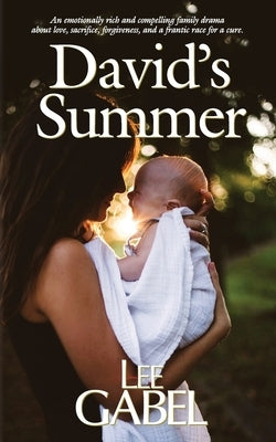David's Summer by Gabel, Lee