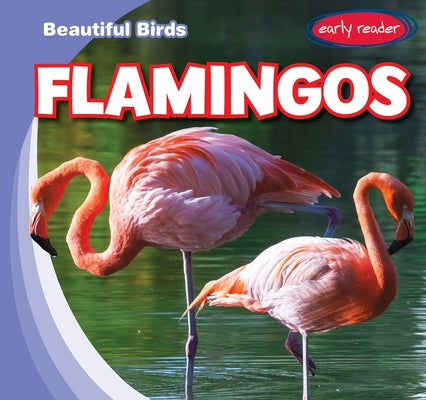 Flamingos by Jacobson, Bray