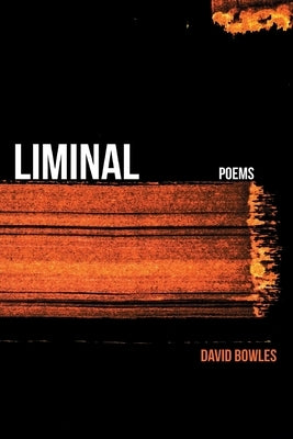 Liminal by Bowles, David