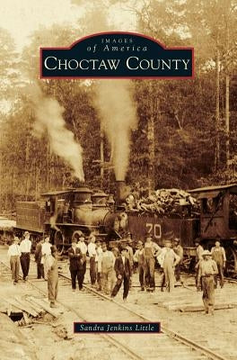 Choctaw County by Little, Sandra Jenkins