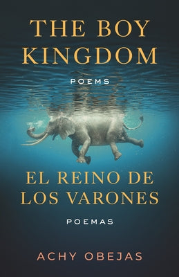 The Boy Kingdom / El Reino de Los Varones by Obejas, Achy