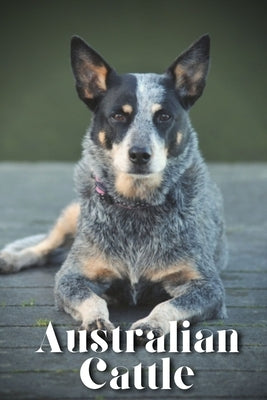 Australian Cattle: How to train your dog and raise from puppy correctly by Pustova, Nina