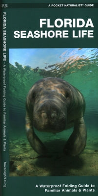 Florida Seashore Life: A Waterproof Folding Guide to Familiar Animals & Plants by Waterford Press