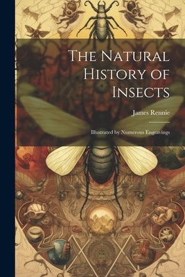 The Natural History of Insects: Illustrated by Numerous Engravings by Rennie, James