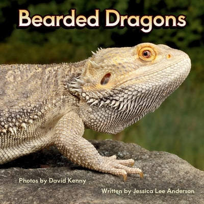Bearded Dragons by Anderson, Jessica Lee