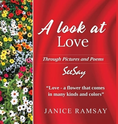 A Look at Love by Ramsay, Janice