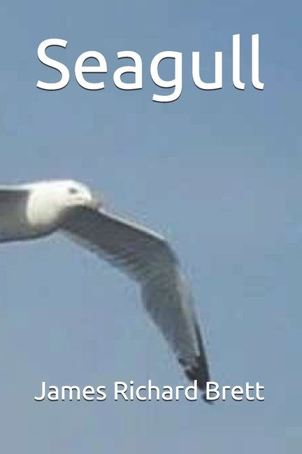 Seagull by Brett, James Richard