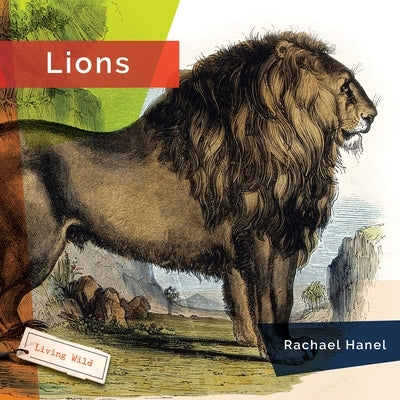 Lions by Hanel, Rachael