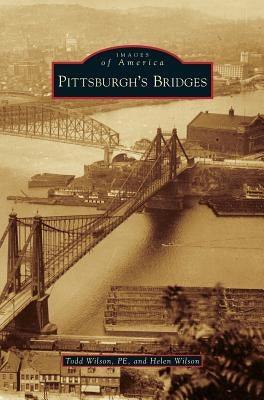 Pittsburgh's Bridges by Wilson Pe, Todd