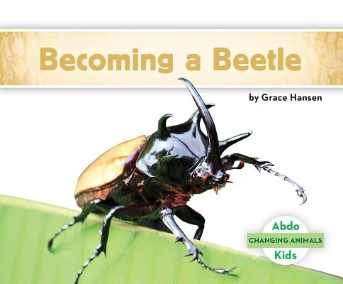 Becoming a Beetle by Hansen, Grace