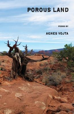 Porous Land by Vojta, Agnes