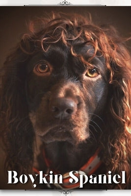 Boykin Spaniel: Dog breed overview and guide by Pustova, Nina