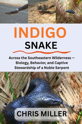 Indigo Snake: Across the Southeastern Wilderness - Biology, Behavior, and Captive Stewardship of a Noble Serpent by King, Stella