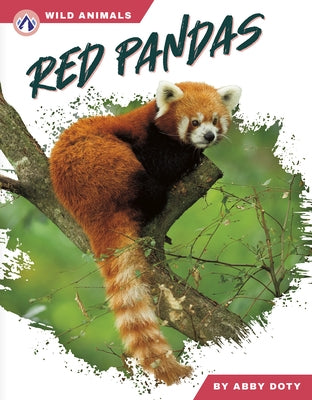 Red Pandas by Doty, Abby
