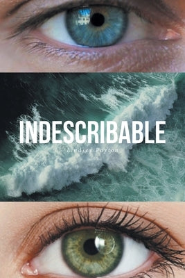 Indescribable by Payton, Lindsey