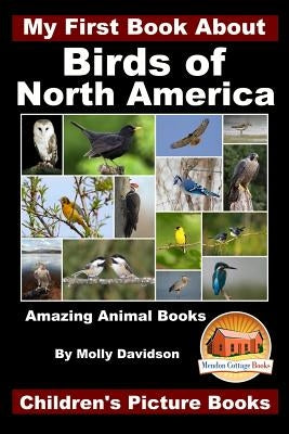 My First Book About the Birds of North America - Amazing Animal Books - Children's Picture Books by Davidson, John