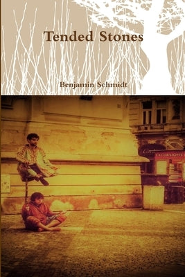 Tended Stones by Schmidt, Benjamin