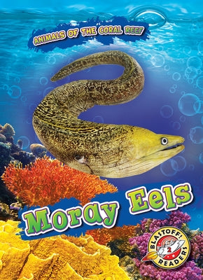 Moray Eels by Shaffer, Lindsay