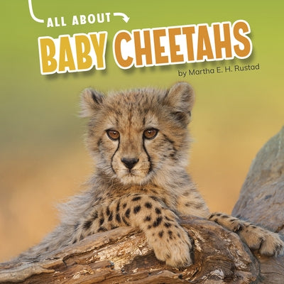 All about Baby Cheetahs by Rustad, Martha E. H.