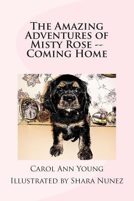 The Amazing Adventures of Misty Rose -- Coming Home by Nunez, Shara
