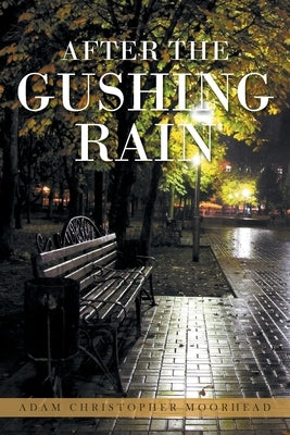 After the Gushing Rain by Adam Christopher Moorhead