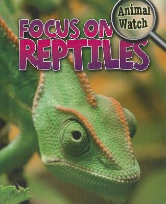 Focus on Reptiles by Savage, Stephen
