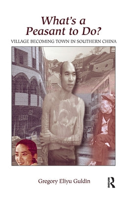 What's A Peasant To Do? Village Becoming Town In Southern China by Guldin, Greg