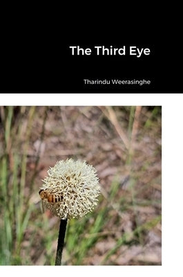 The Third Eye by Weerasinghe, Tharindu