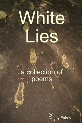 White Lies by Fahey, Danny