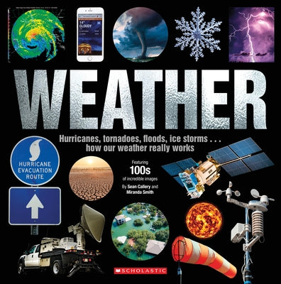 Weather by Farndon, John