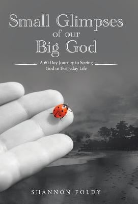 Small Glimpses of Our Big God: A 60 Day Journey to Seeing God in Everyday Life by Foldy, Shannon