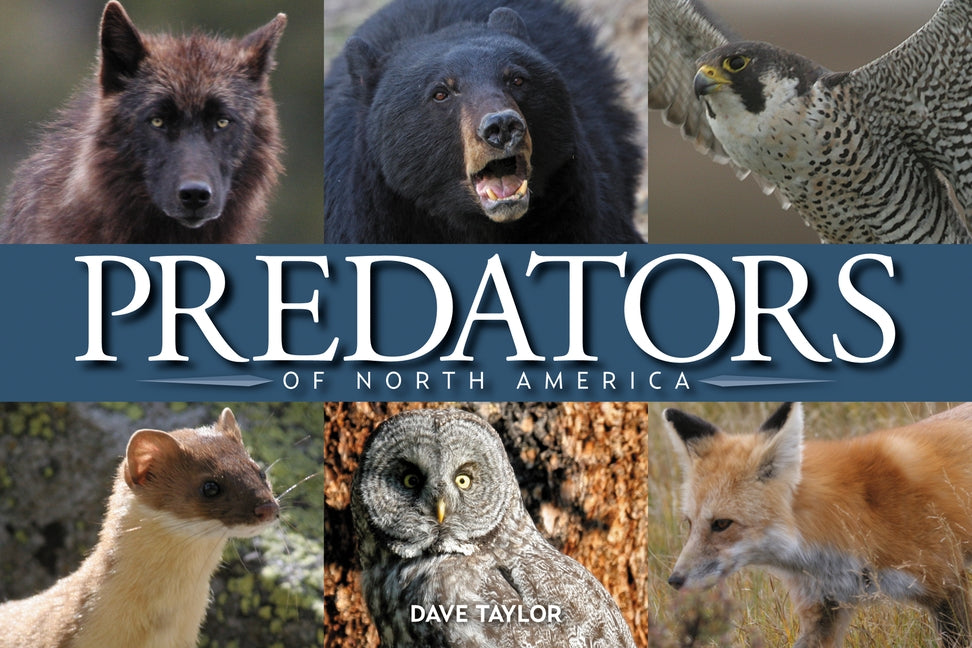 Predators of North America by Taylor, Dave