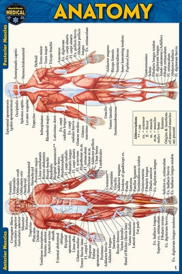 Anatomy Pocket-Sized Reference Guide (4x6 Inches) by Perez, Vincent