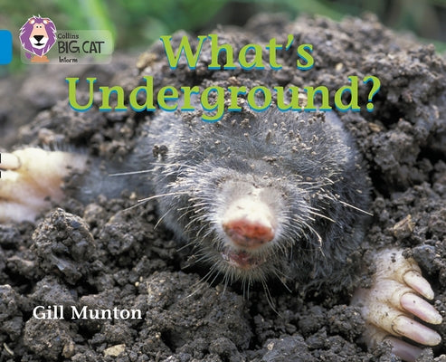 What's Underground?: Band 04/Blue by Munton, Gill