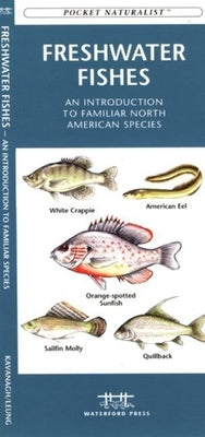 Arkansas Birds: A Folding Pocket Guide to Familiar Species by Kavanagh, James
