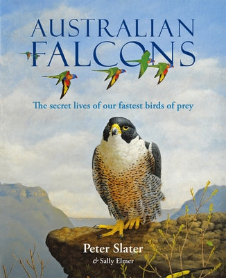 Australian Falcons by Slater, Peter