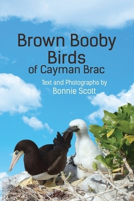 Brown Booby Birds of Cayman Brac by Scott, Bonnie